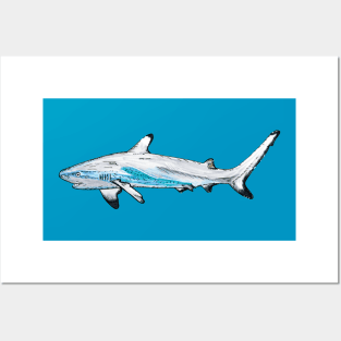 Blacktip Reef Shark Posters and Art